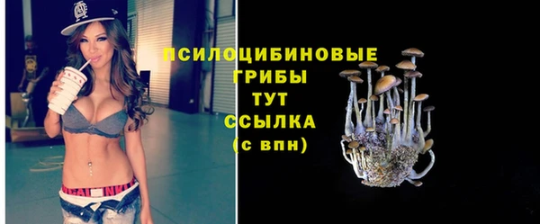 гидра Белоозёрский