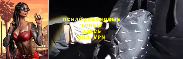твердый Богородск