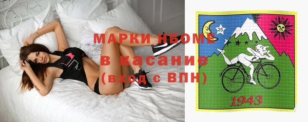 твердый Богородск