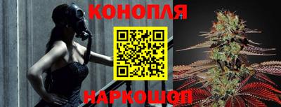 ГАЛЛЮЦИНОГЕННЫЕ ГРИБЫ Обь