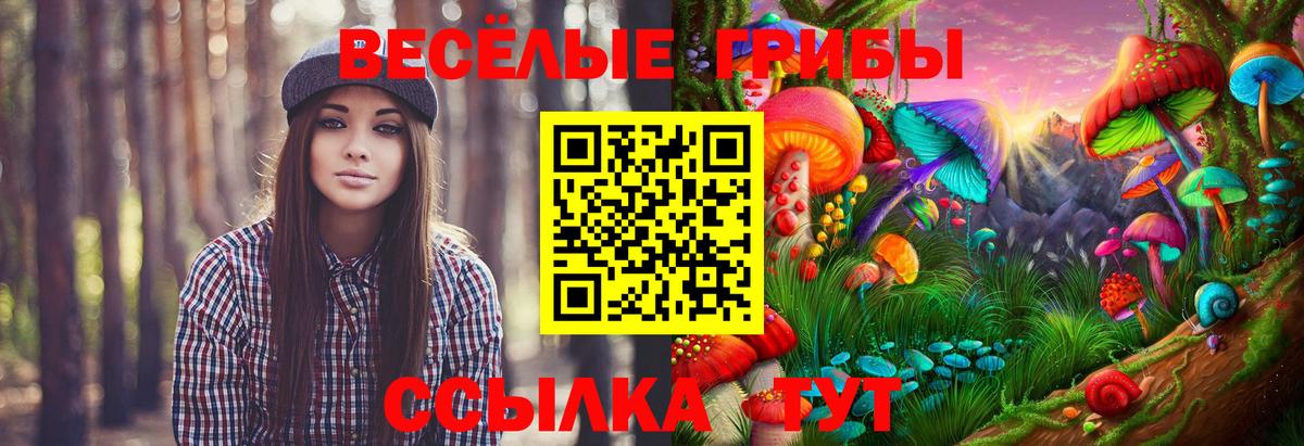сколько стоит  Вход с VPN  Славгород  Псилоцибиновые грибы мицелий 