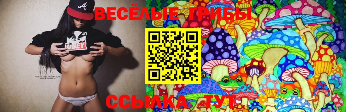 Псилоцибиновые грибы Psilocybine cubensis Славгород